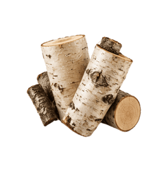 Birch
