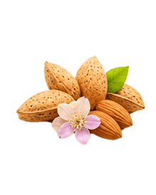 Bitter Almond