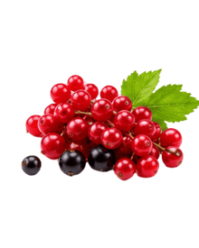 Red Berries