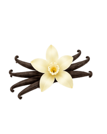 Vanilla